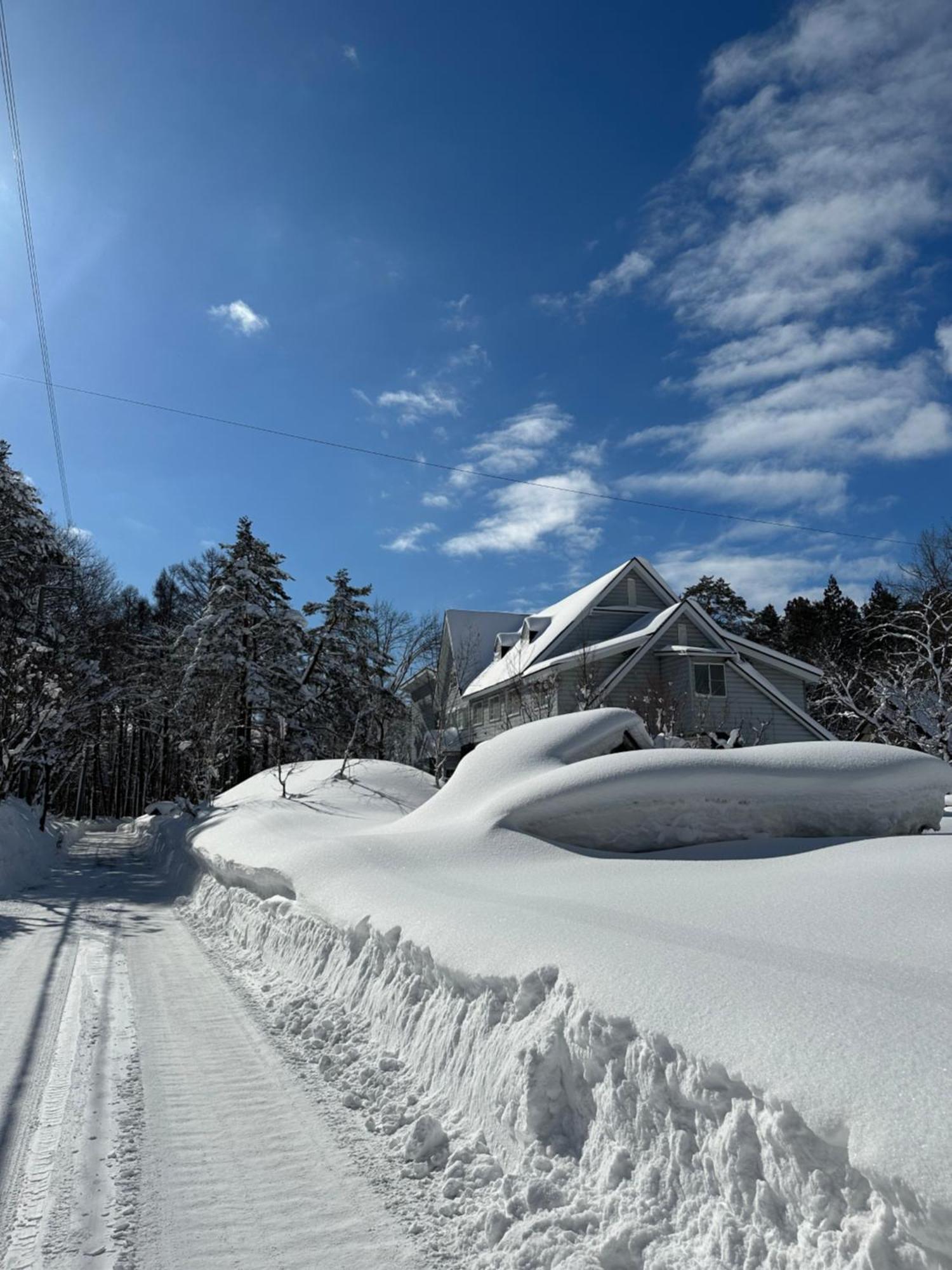 Natural Hot Spring Hakuba Symphony Екстериор снимка